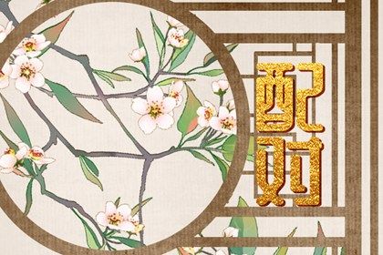 姓名配对在合婚中的位置